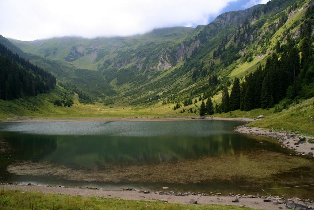 Residence Les Chardons Argentes 2 Samoëns Екстериор снимка