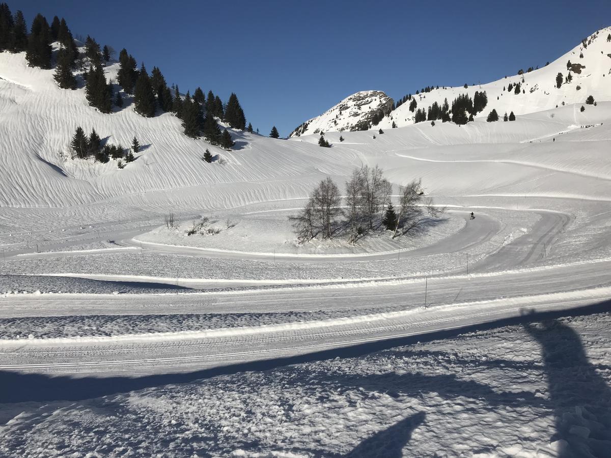Residence Les Chardons Argentes 2 Samoëns Екстериор снимка