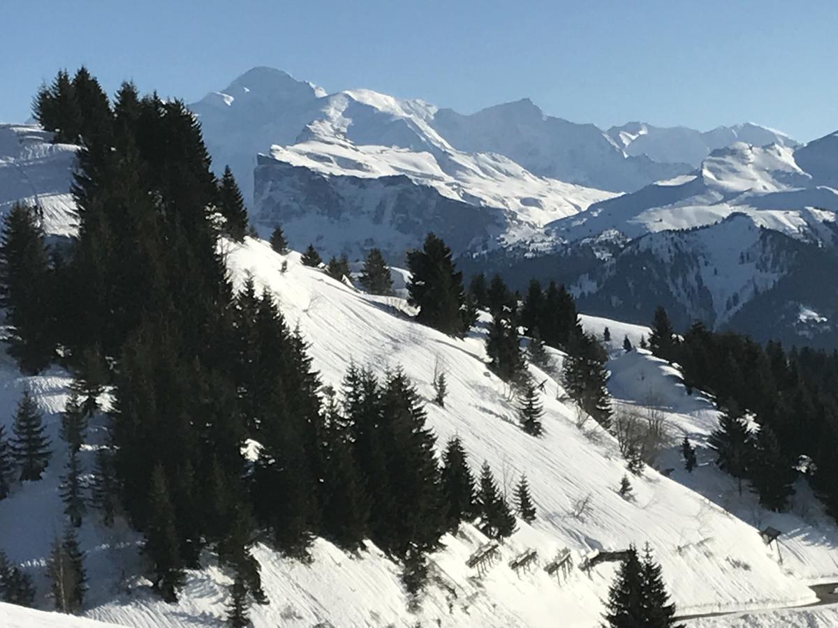 Residence Les Chardons Argentes 2 Samoëns Екстериор снимка